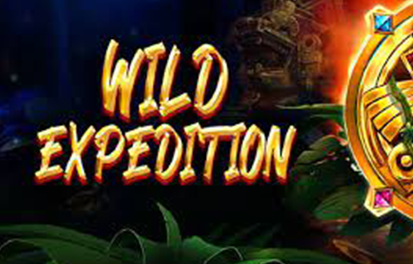 Обзор онлайн-слота Wild Expedition