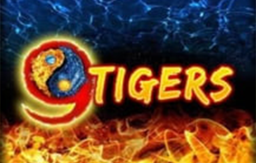 Обзор игрового автомата 9 Tigers